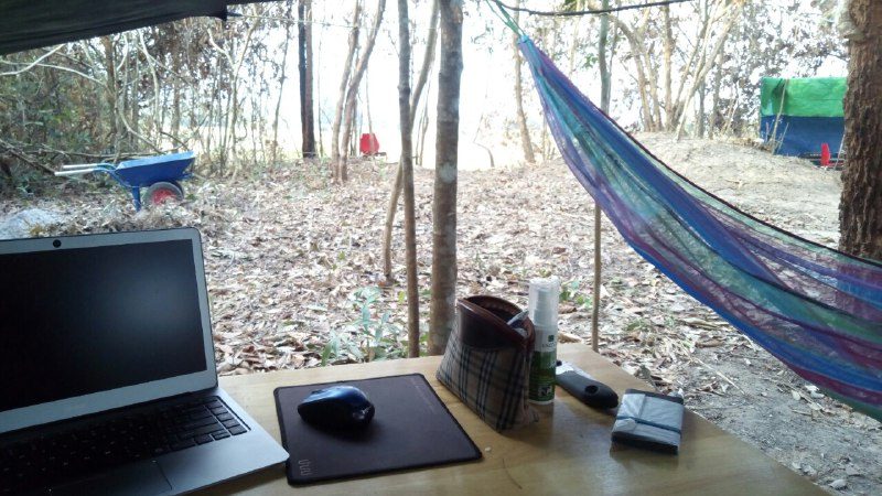 A laptop, a mouse and a pencil case on a table, with a hammock and trees behind