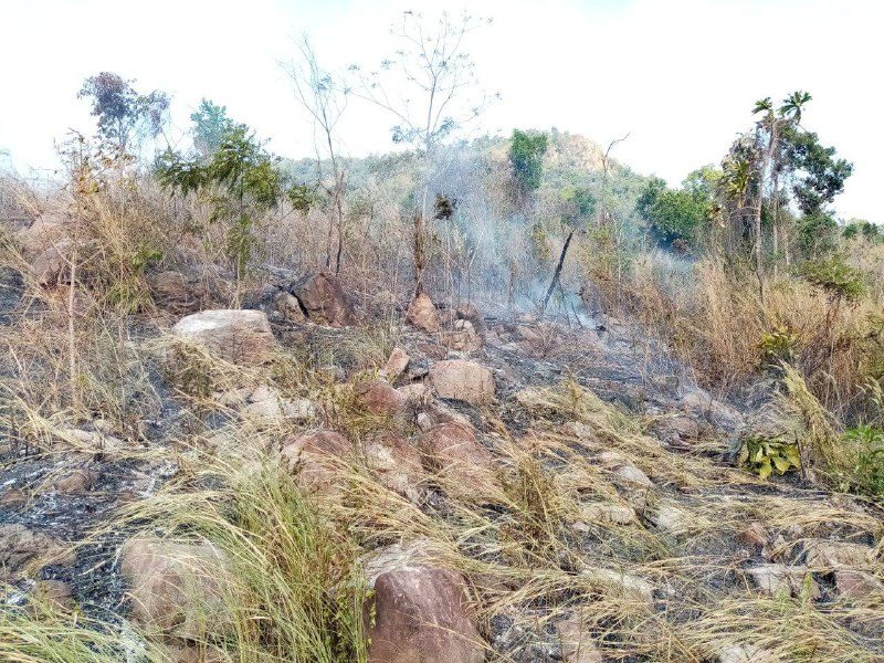 Burnt ground between rocks and dry grass, with smoke still rising and thin trees behind