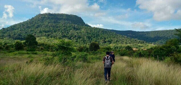 Two people walking through tall grass toward a forested hill