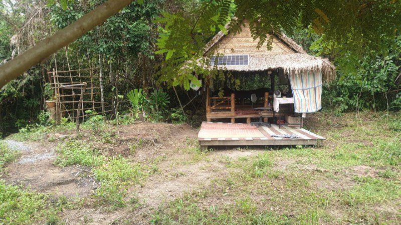 A small thatched hut on a wooden deck in a clearing, with a solar panel on the roof