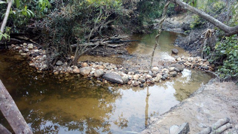 A shallow pool in a stream, held back by a line of stones, with trees and branches over the water