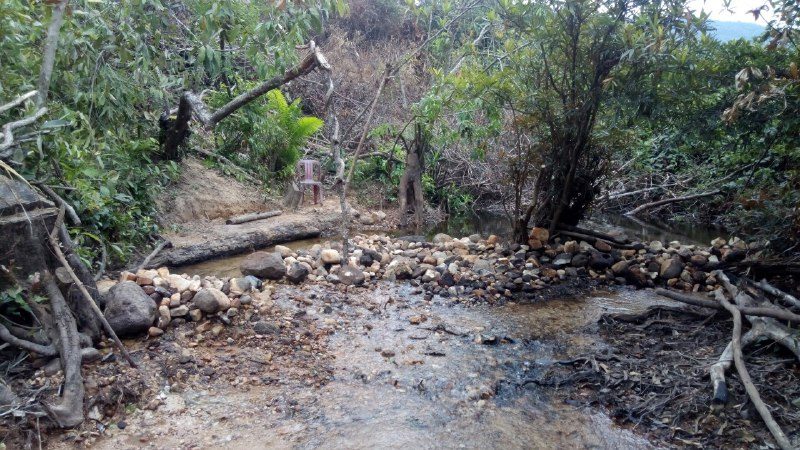 Water running over a low line of stones in a stream, with fallen branches around it