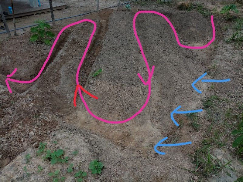 Shallow trenches dug across a slope of bare soil, with arrows drawn on to show the path of the water